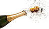 champagneCork.jpg